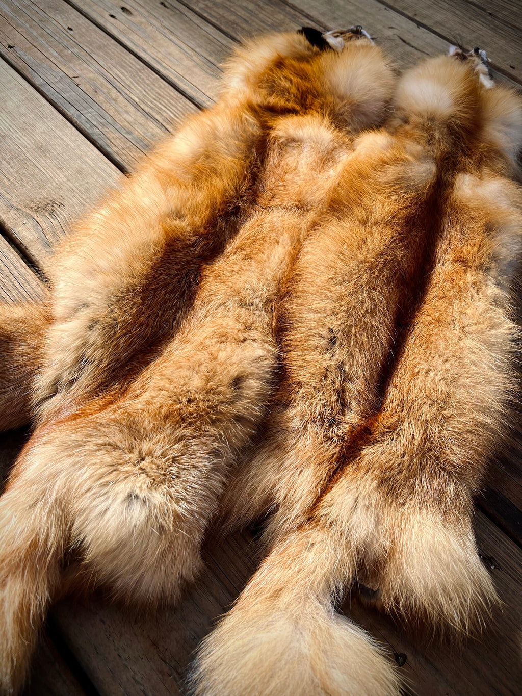 Maine Red Fox Pelt, Prime, Professionally Soft Tanned/Garment Tanned