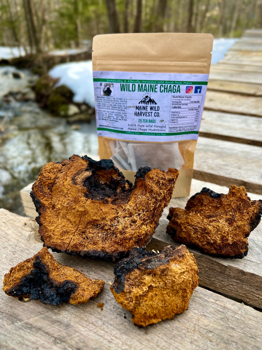Wild Maine Chaga Tea Bags (25ct) - All Natural