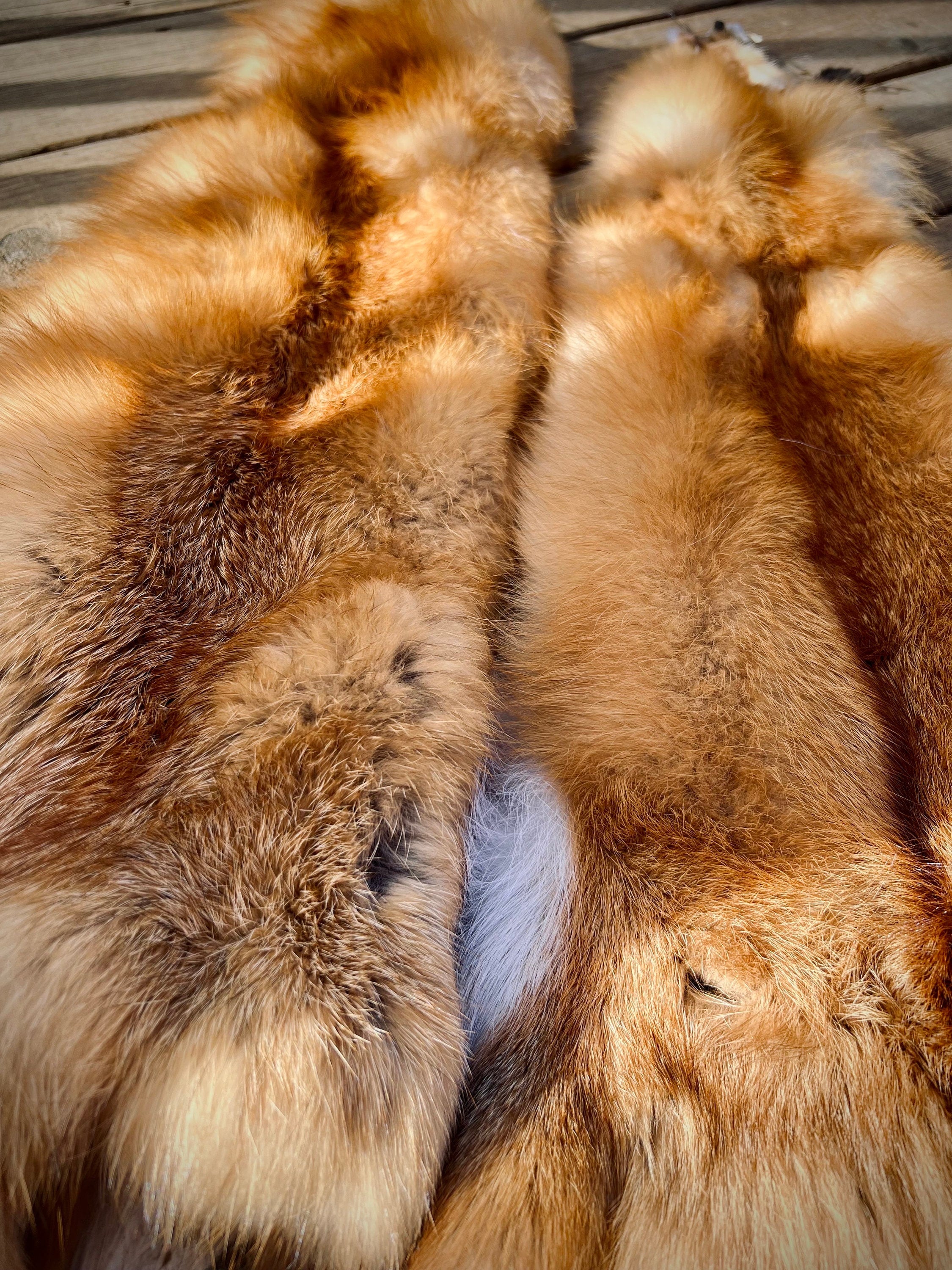 Maine Red Fox Pelt, Prime, Professionally Soft Tanned/Garment Tanned