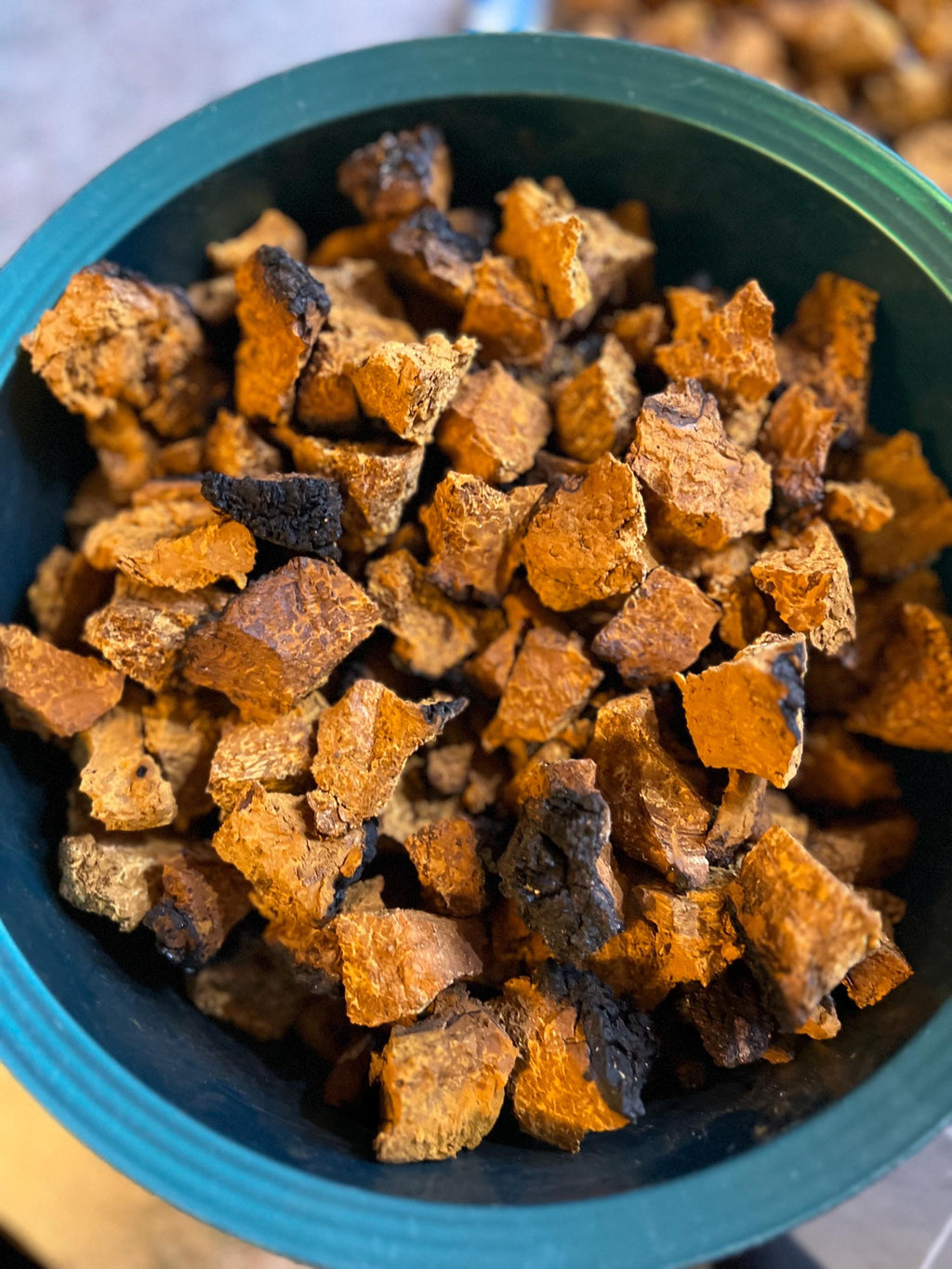 Maine Chaga Chunks (4 oz): Wild Harvested Tea