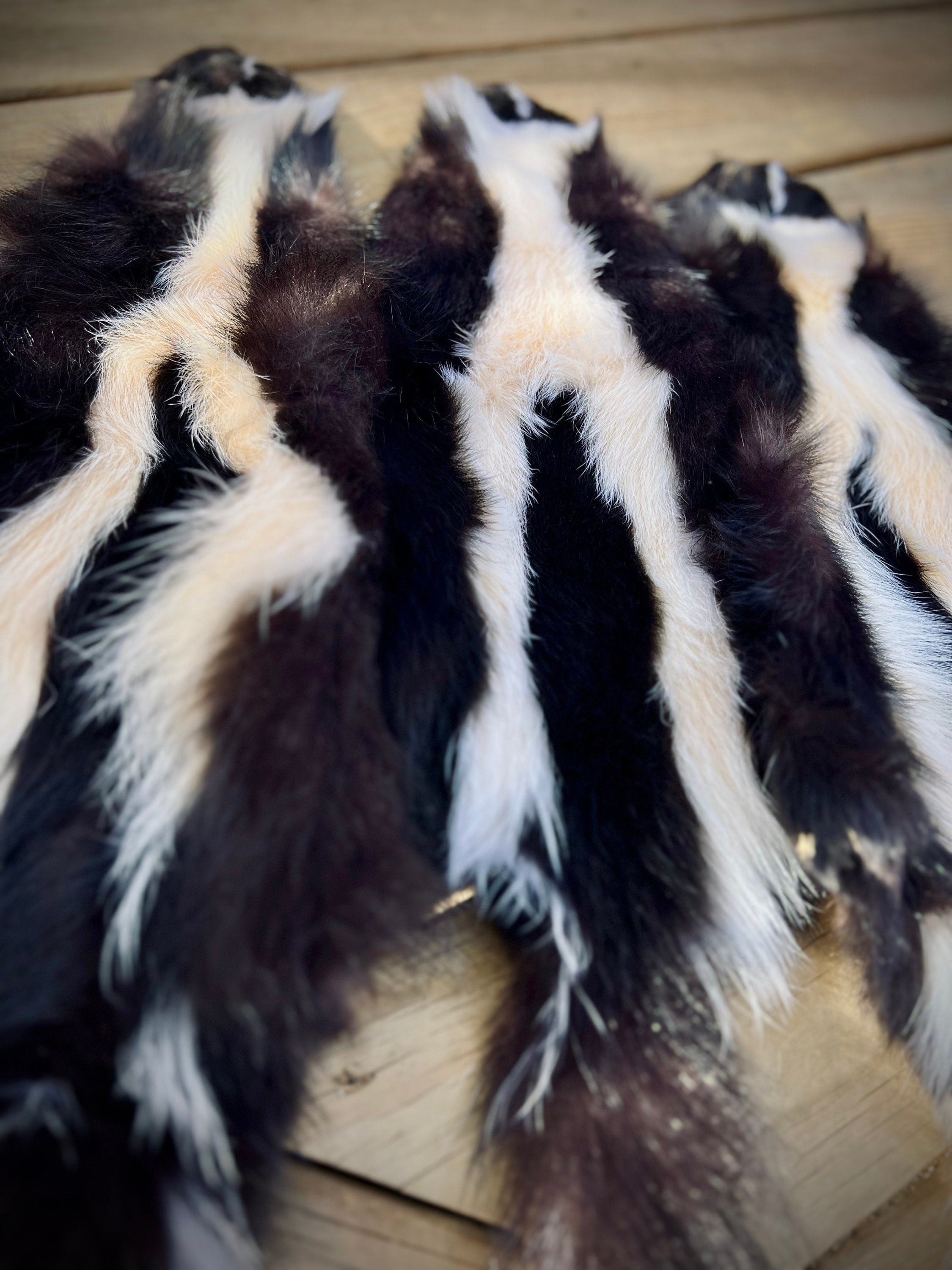 Maine Skunk Pelt, Prime Northern Skunk, Professionally Soft Tanned