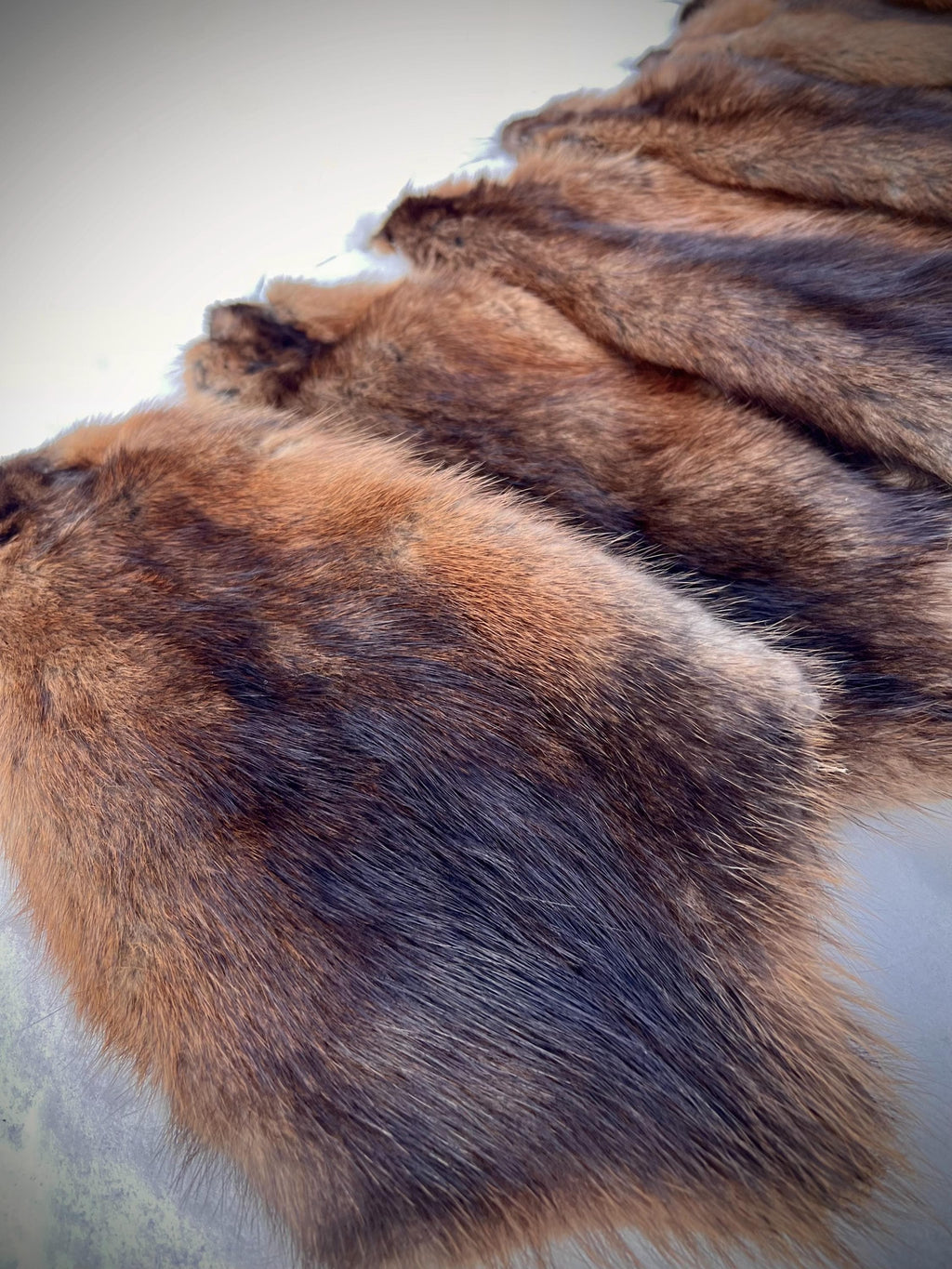 Maine Muskrat Pelt - Prime, Professionally Garment Soft Tanned
