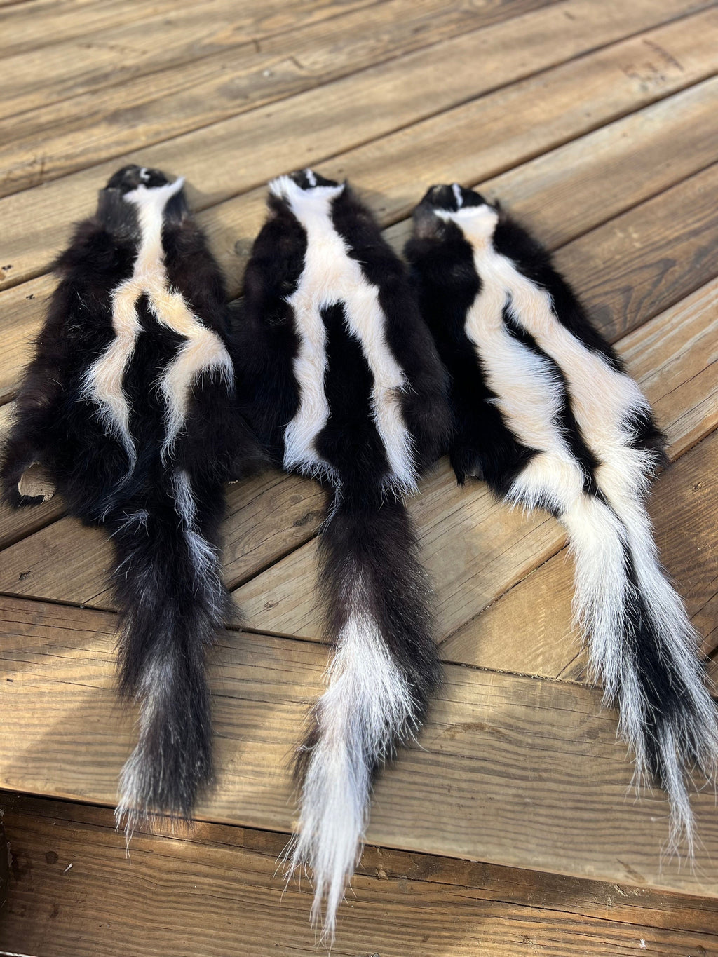 Maine Skunk Pelt, Prime Northern Skunk, Professionally Soft Tanned