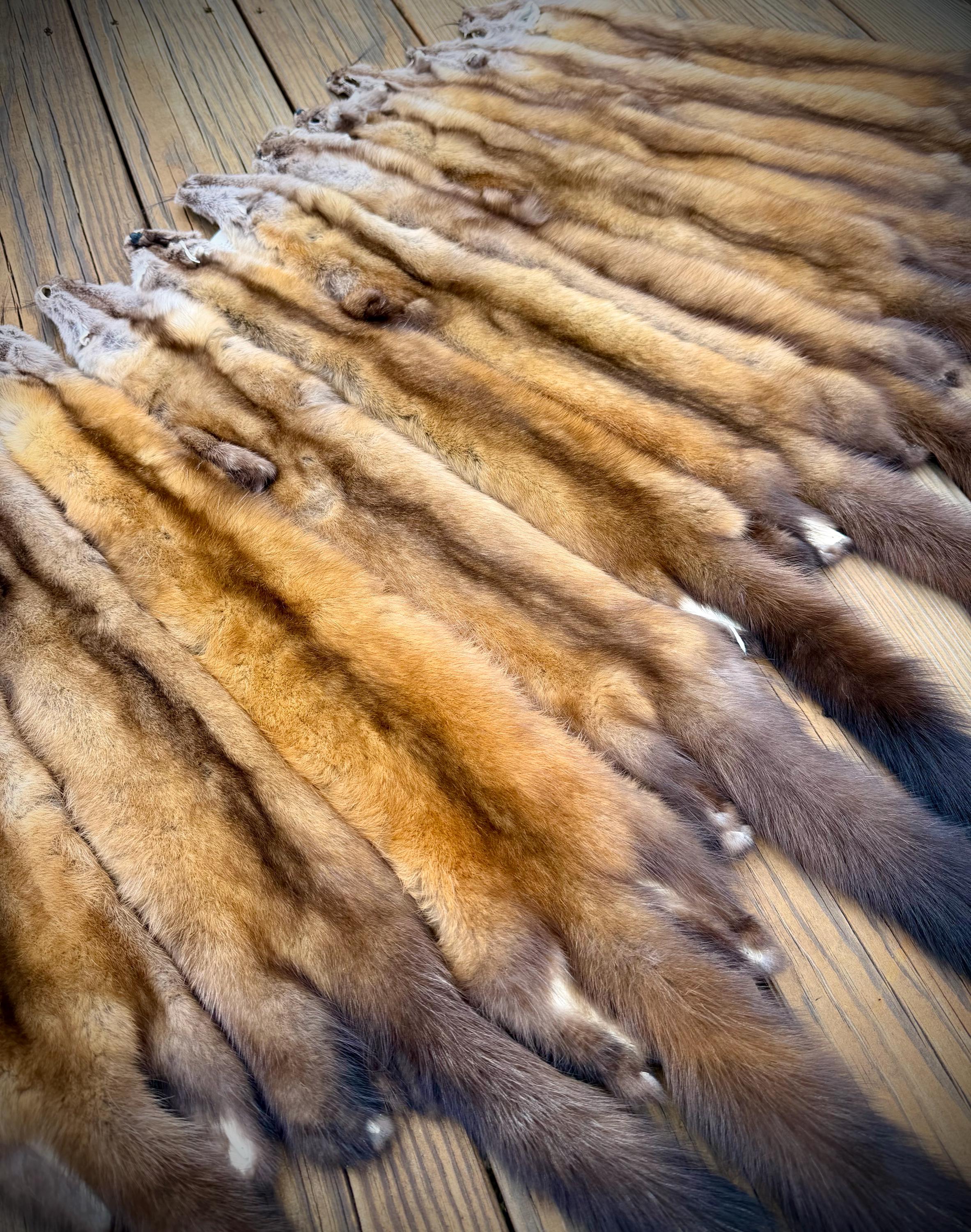 Maine Pine Marten/Sable (Light Color Phase) Pelts - Prime, Northern Maine, Professionally Garment Tanned