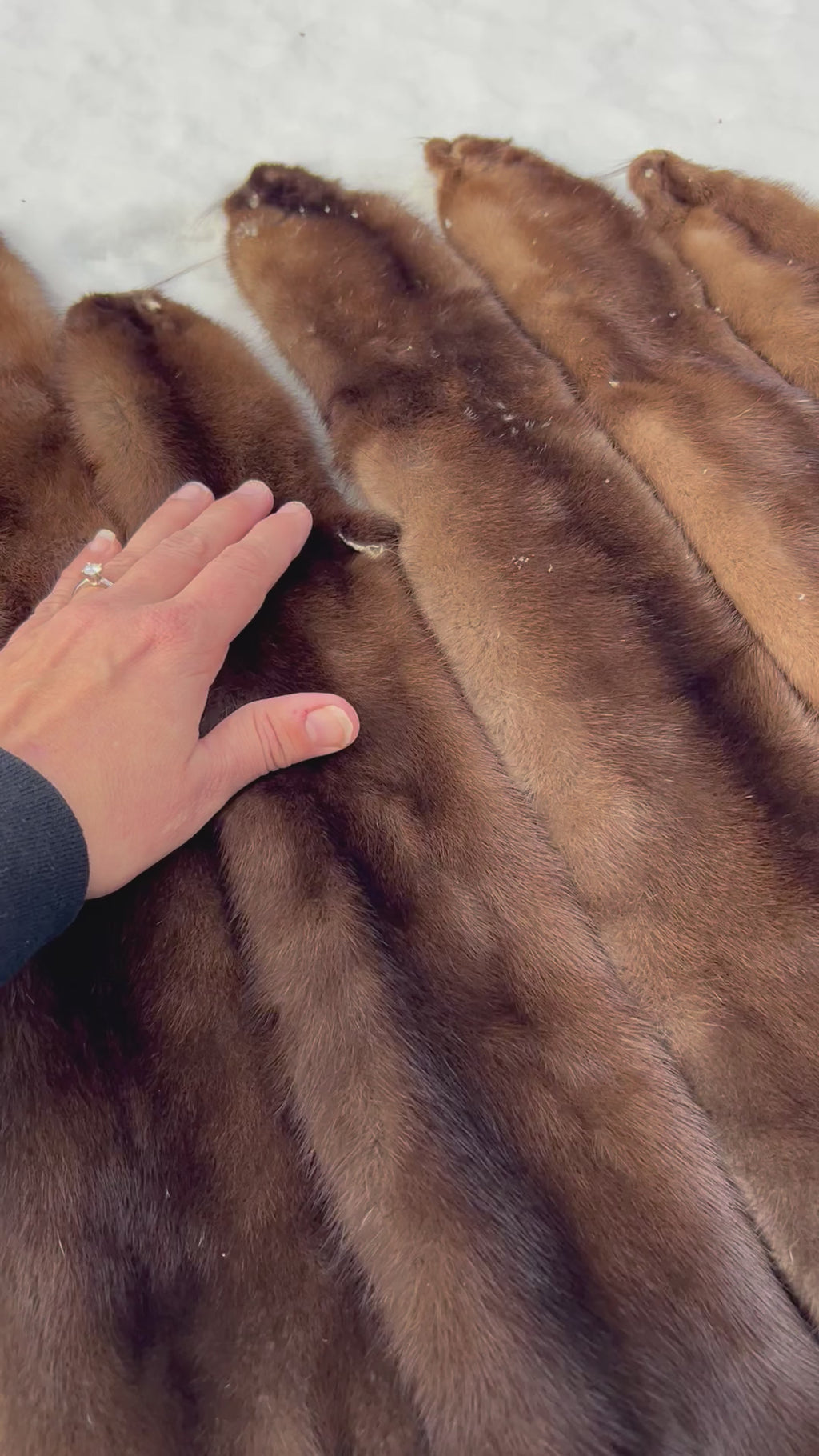 Maine Wild Mink Pelt - Prime, Professionally Garment Soft Tanned